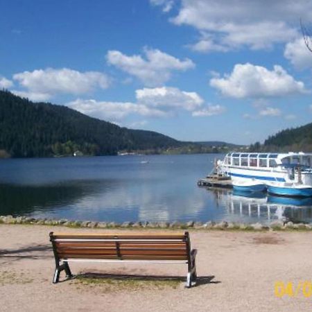 House With Terrace Near The Lake Gérardmer Exterior foto